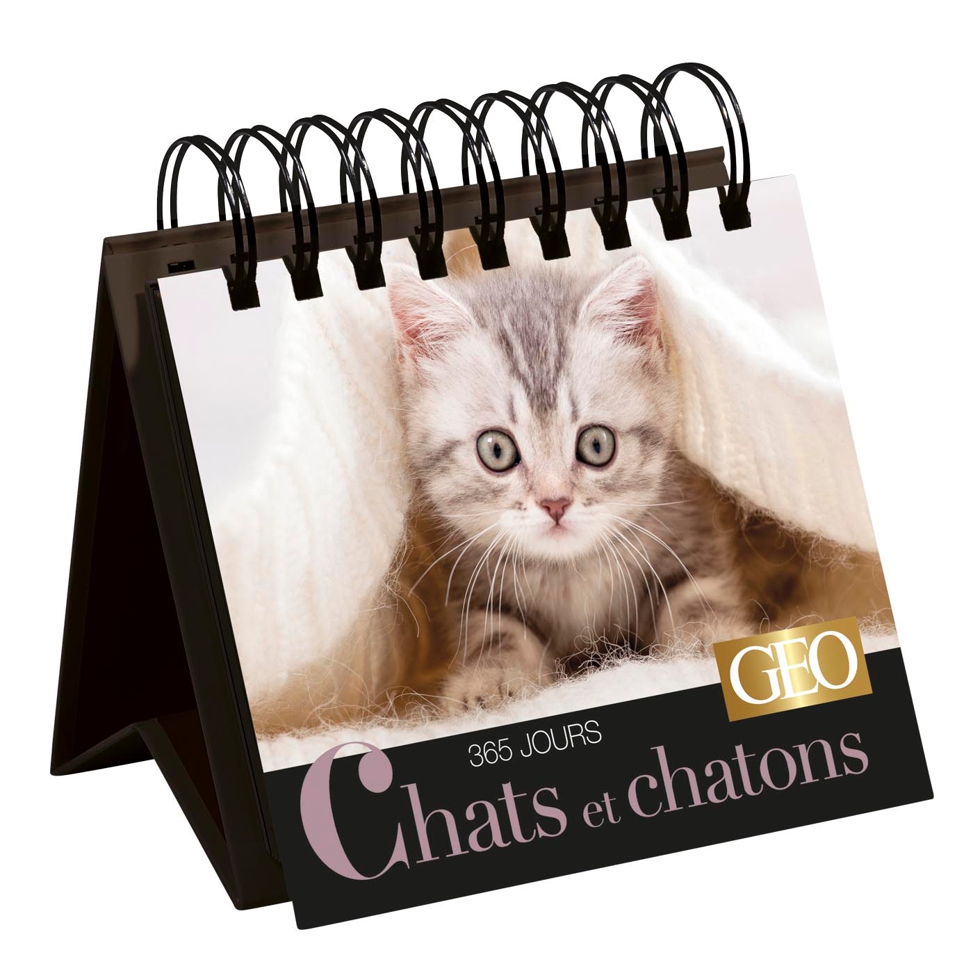 365 jours Chats et chatons Calendrier Géo Playbac