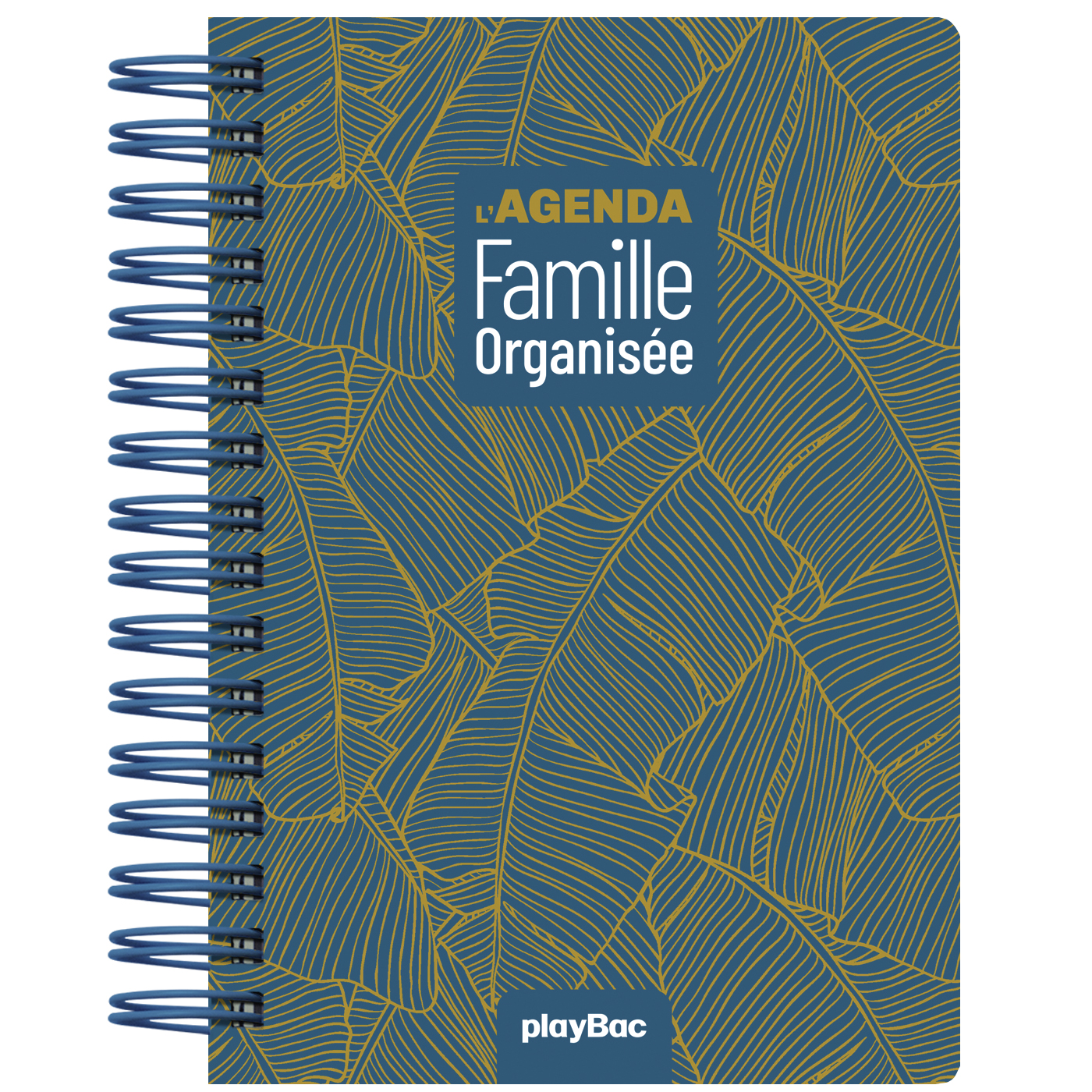 Mon Agenda Famille Organisée 2025 (Répertoire, agenda 2024
