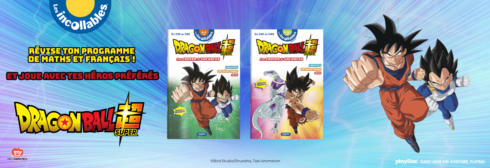 CDV DRAGON BALL – Ordi