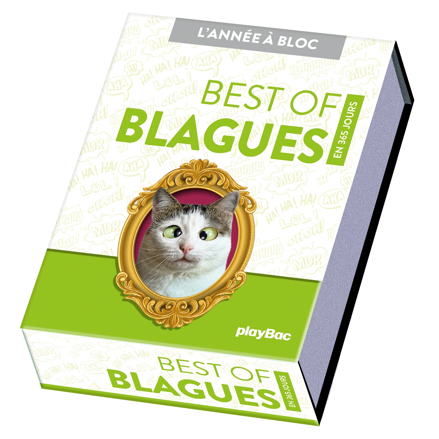 Playbac Editions
