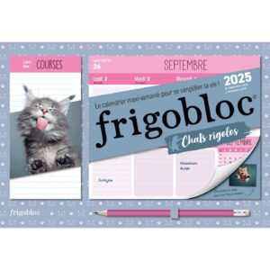 Mini Frigobloc Hebdomadaire 2025 Chats rigolos (de sept. 2024 à déc. 2025)