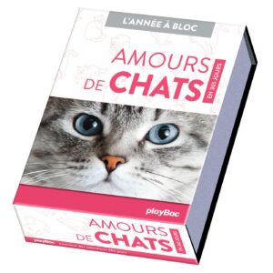Calendrier Amours de chats en 365 jours - Année à bloc