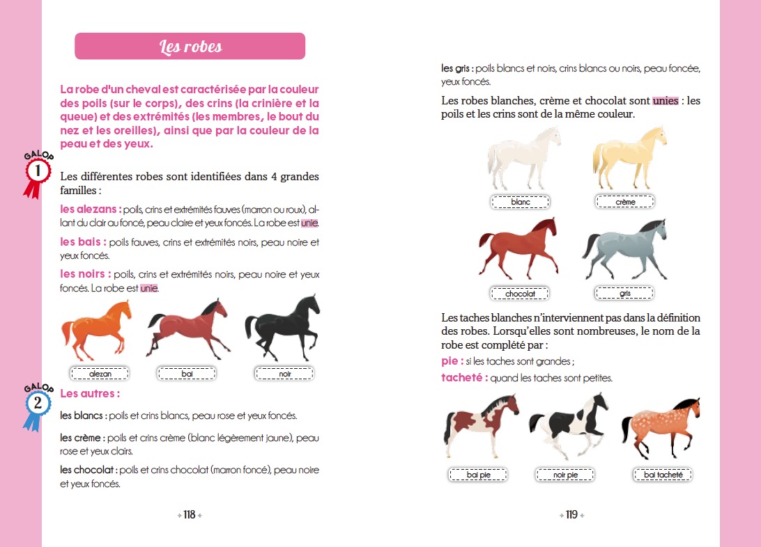 Le Galop des Etoiles - Un cheval pour Ariana - Tome 1 - Playbac
