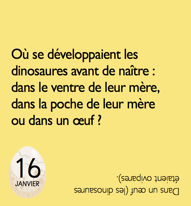 Mini Calendrier 365 Jours Avec Les Chats - Agenda Quotidien Illustré Et Mignon