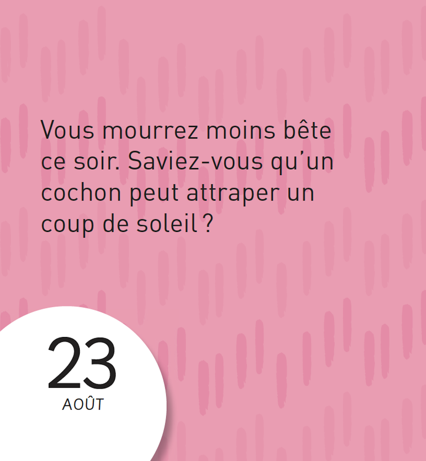 Mini Calendrier 365 Blagues Crados - Humour Grivois - Petit Format - Idée Cadeau Marrante
